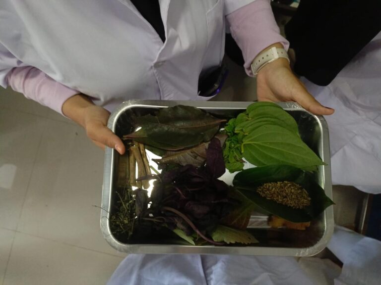 Person holding a metal tray filled with assorted fresh and dried leaves and stems used for herbs or plants.